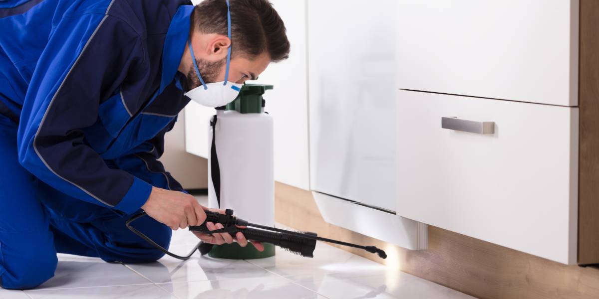Cockroach Pest Control
